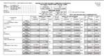 NPDES software DMR report screenshot 
